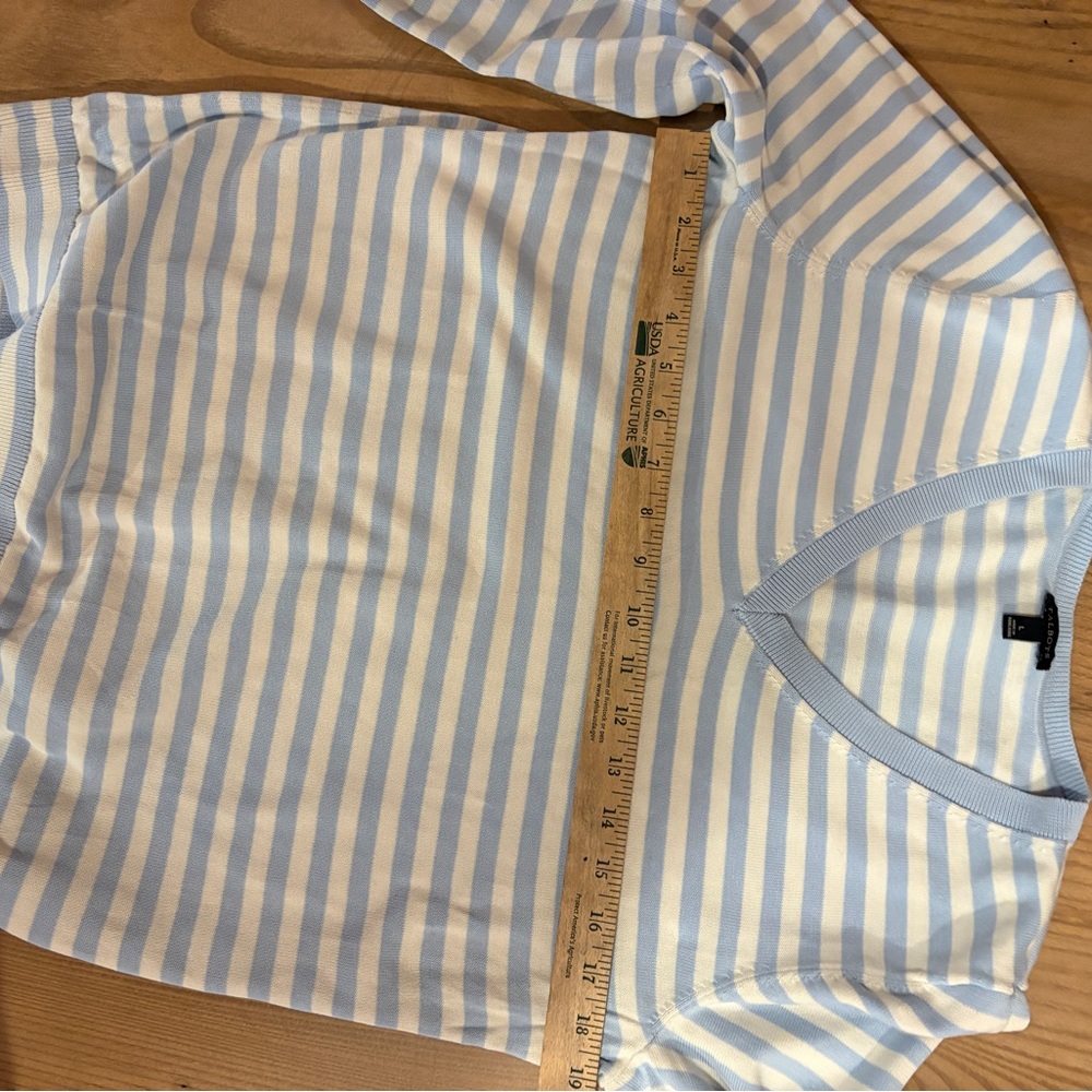 Talbots Blue and White Striped V-Neck Sweater - Picture 4 of 5